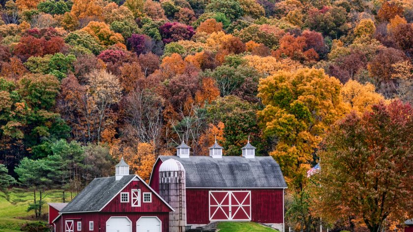 casa rossa e foliage